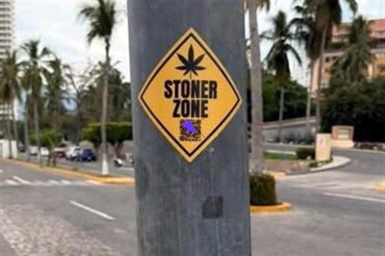 El descaro en Puerto Vallarta