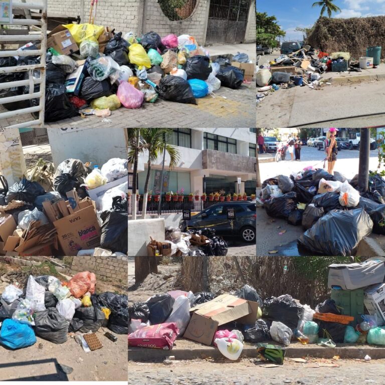 Puerto Vallarta Entre La Basura Y El Abandono